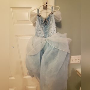 Disney Princess Cinderella dress/costume